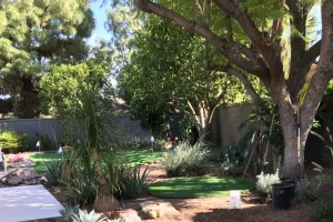 beautiful rock and plants landscaping