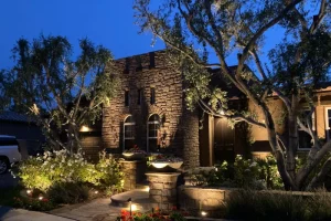 Landscape lighting design by Cascio