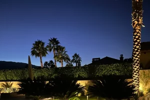 Landscape lighting design by Cascio