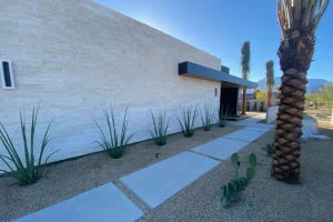 walkway surround by garden gravel and plants