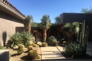 freshly planted desert landscape at home