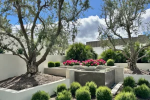 raised garden beds trees and plants