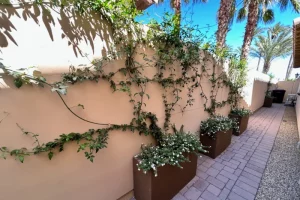 planters and vines on walkway