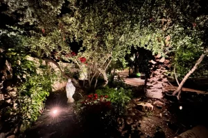 Landscape lighting design by Cascio