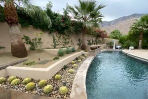 landscaping around backyard pool